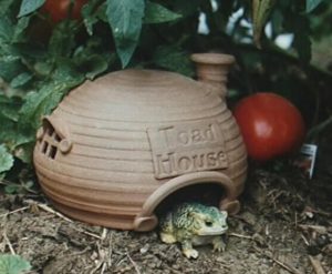 toad house to help wildlife 